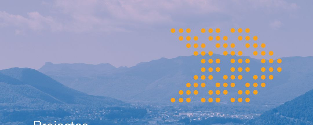 Licitació_Olot_Convocatòria