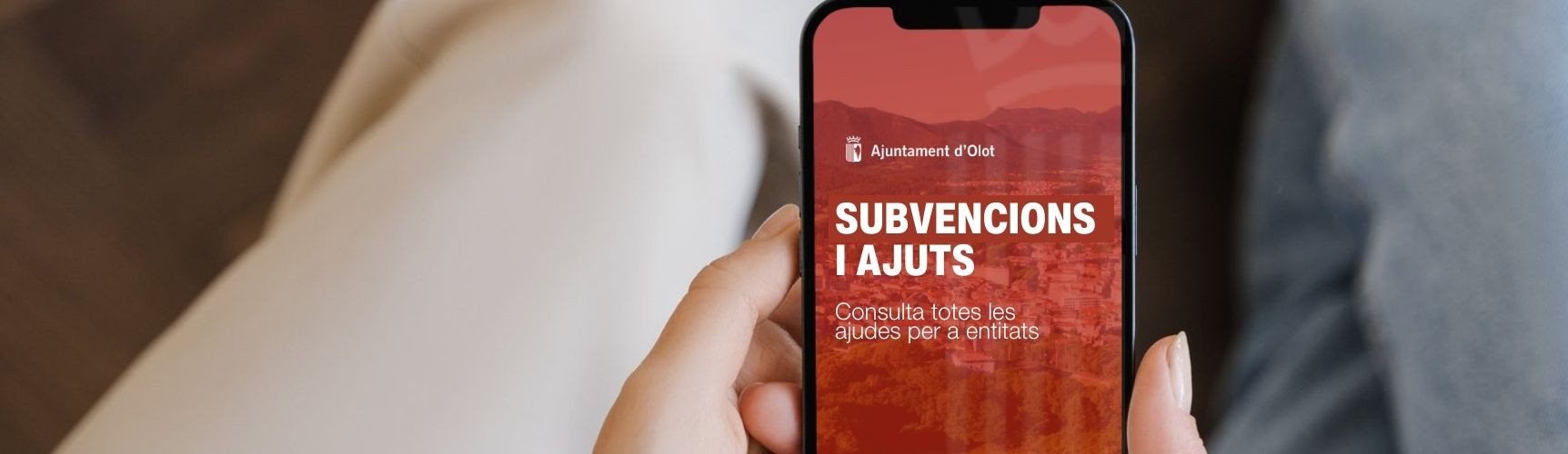 Subvencions per entitats